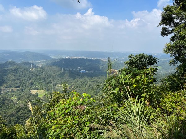 20231102_關西赤柯山（森遊竹縣）2762955