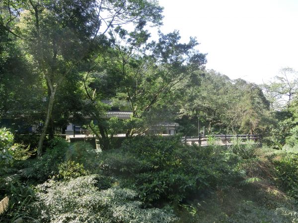 姜子寮山．泰安瀑布．鐵道公園105801