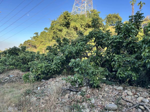 橫山觀日步道2957497