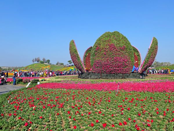 2017台中國際花毯節楓仔林草嶺觀景步道231045