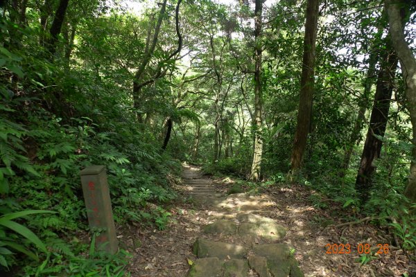 基隆 頂寮山、龍門山、五分山、頂子寮山2265969