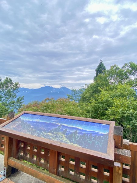 溪頭散步悠遊    2024.5.202517712