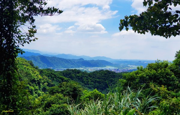  【微笑山線】里山親河快意山行1056900