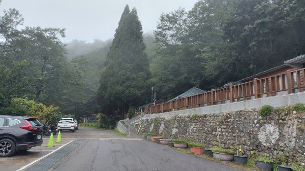 觀霧榛山步道三角點1447419