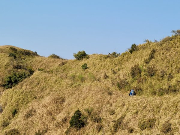 能高安東軍-北三段(百岳33～37)1446088