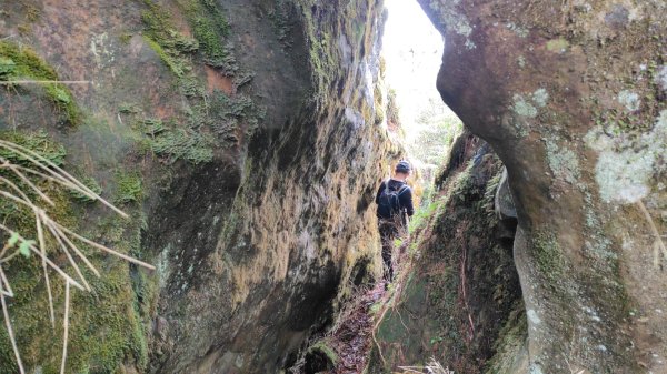 大塔山探勘大塔山最高峰(光頭兄) O繞順走大塔山西峰艱難路線下溪谷 2024年8月11日2569721