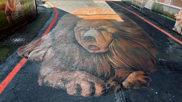 🌈10/5（日）熊熊趴爬走九歲~🥰✨FB：熊熊趴爬走 🌈2906025