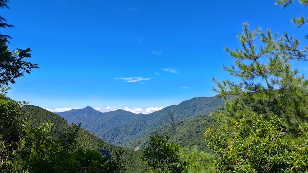 榛山景觀平台2918105