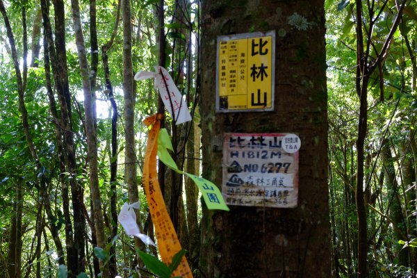 五峰天際線10-8/9/10 鹿南比大1254640