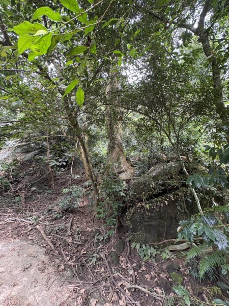 20251018台南 崁馬鞍部啟登崁頭山2920733