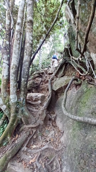 【苗栗南庄】向天湖山光天高山小O繞2933170