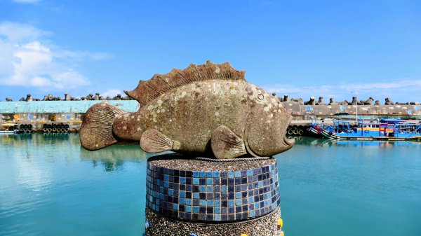 洄瀾東海岸3006711