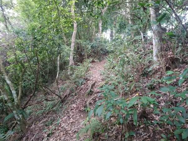 暗影山 小百岳 三等三角點4181690861