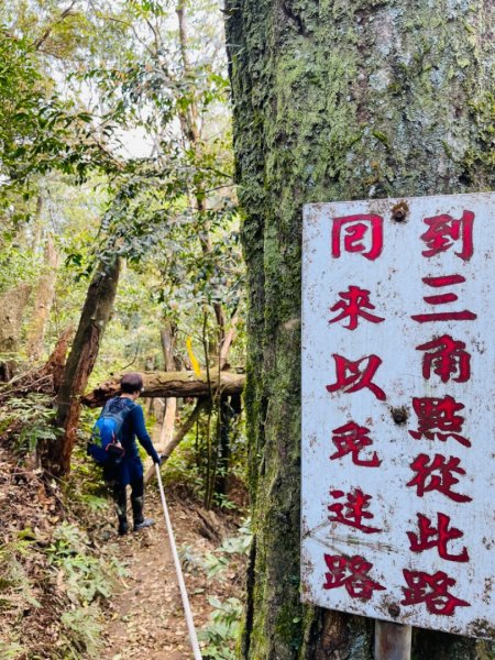 1140319仙山-仙山南峰2738248