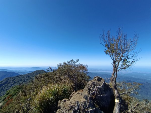 加里山（大坪登山口O繞）112/11/282362971