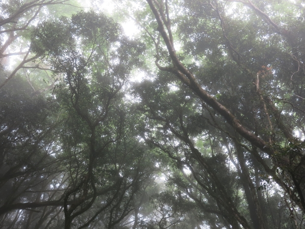 浪跡天涯~穿越時空的山海之旅16143