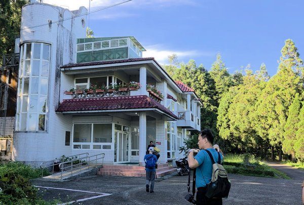 【中級山】麥巴來山，夢幻杉木林3089240
