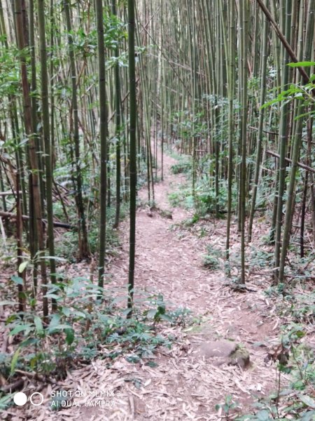 五指山五連峰純路況530520