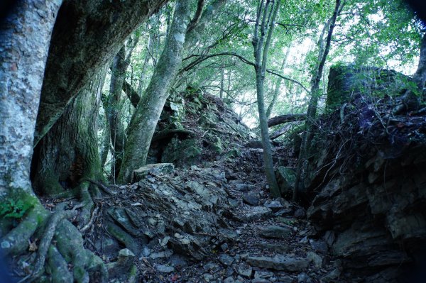 新竹 五峰 西高橋山、霞喀羅大山2959326