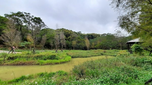 《新竹》城市微旅｜青青草原及香山濕地賞蟹步道202112121547117