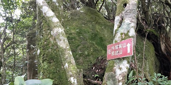 內鳥嘴山，北得拉曼神木群步道，瀑布初體驗1062659