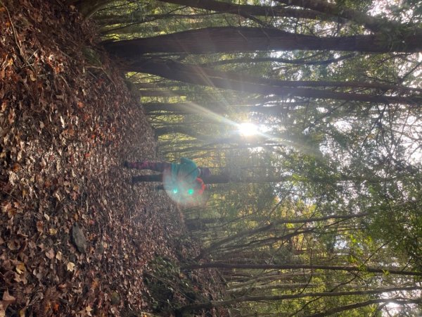 霞喀羅古道-石鹿進-白石駐在所兩天一夜2683897