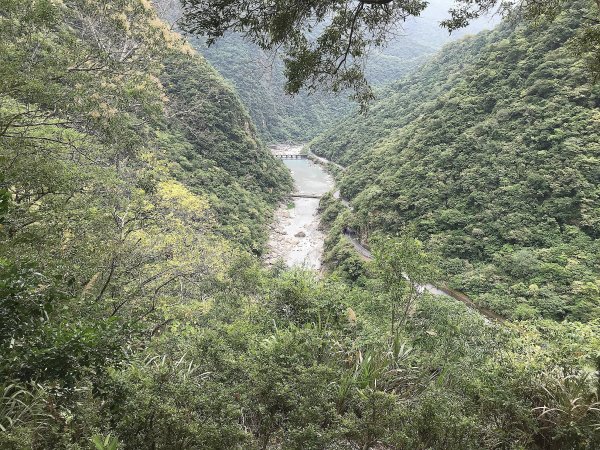 布洛灣&環流丘步道&山月吊橋1445049