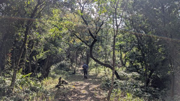 114.12.07筆架連峰之旅2957043