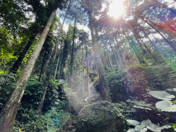 1130928五指山｜拇指峰-食指峰-中指峰2612396