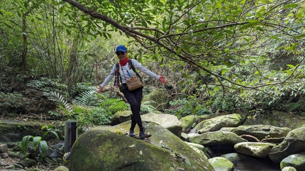 東勢大崙、東勢坑山、觀音湖山O走2986327