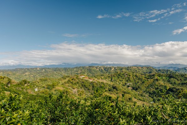 [台中]聚興山2703802