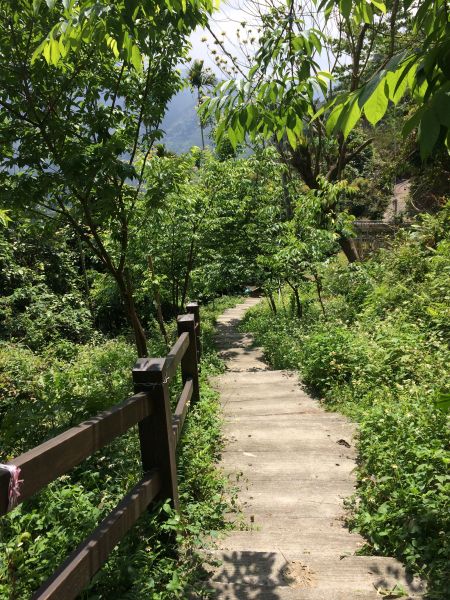 180408-樟腦寮-獨立山-大巃頂步道306136