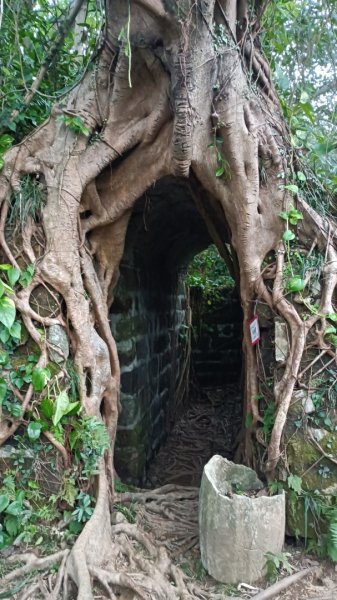 獅球嶺東砲臺2984331