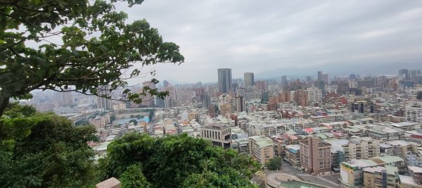 福州山公園3002488