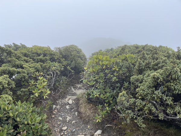 聖稜線I 2023_0524(D2-5) 凱蘭特崑山北峰2166268