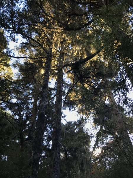 雪山 不下雪532986