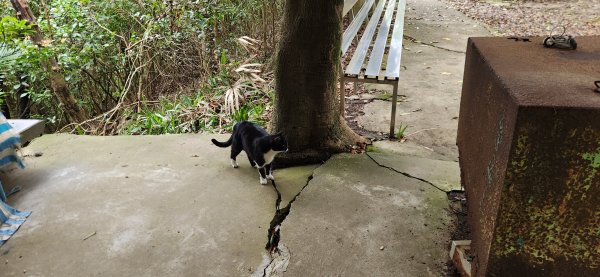 阿哲/小黑3031503