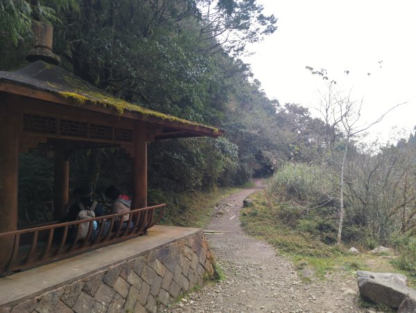 2026.02.14－特富野古道3013697