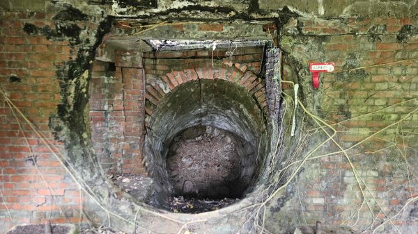 20260323后番仔坑山-內平林山-新路尾山-頂坑山-三貂嶺中心點3023696