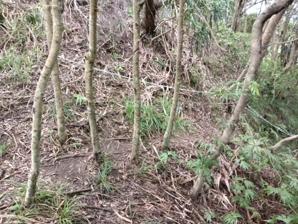 平溪區平溪子山遇雷雨O型2850141