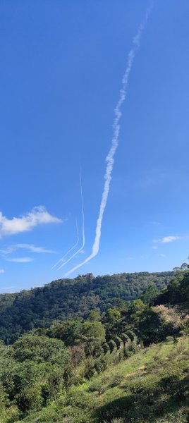 秀才登山步道2936918