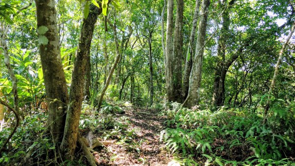 梅竹蹊山,麻竹坑山,苕谷瀑布,蝙蝠山2883307