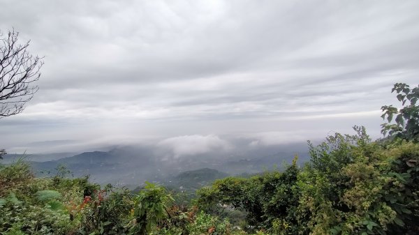 阿拔泉山稜線步道雲海1561746