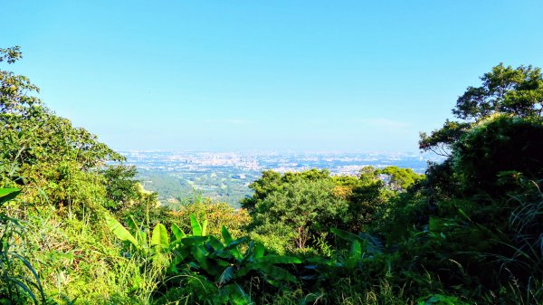 桃園石門山2916129