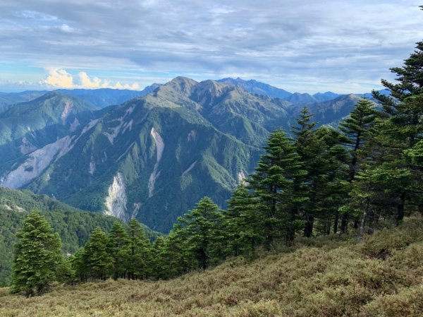 20220625台東海端向陽山、向陽山北峰、三叉山、嘉明湖1745557