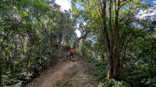 114.06.28內平林山-番子坑山-平湖森林遊樂區之O型2824262
