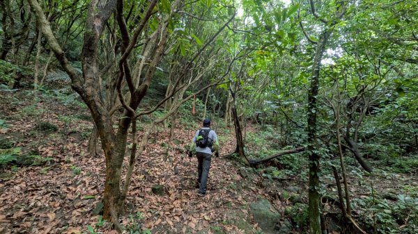 114.06.08門牙岩之O型2806630