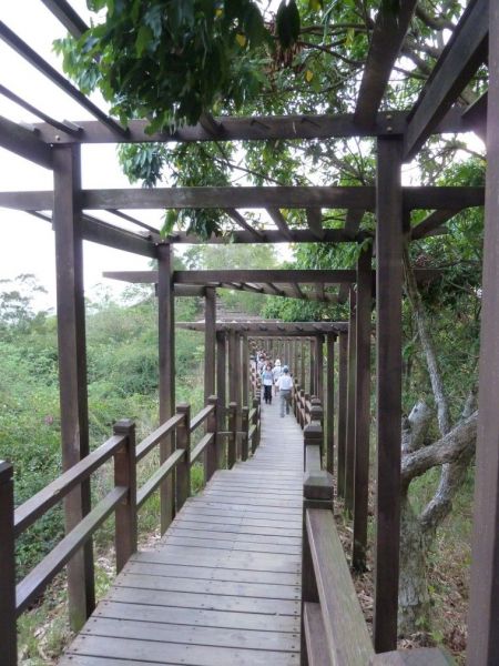 大坑地震公園●九號步道104991