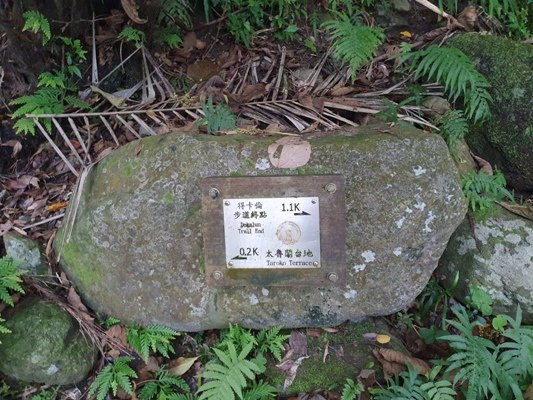 【花蓮秀林鄉】立霧山步道905335