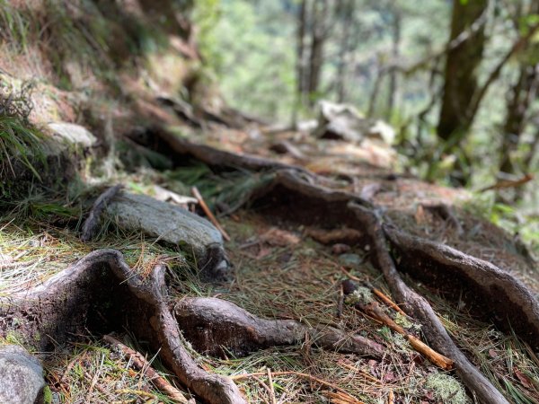 向陽日出，嘉明湖光2866334